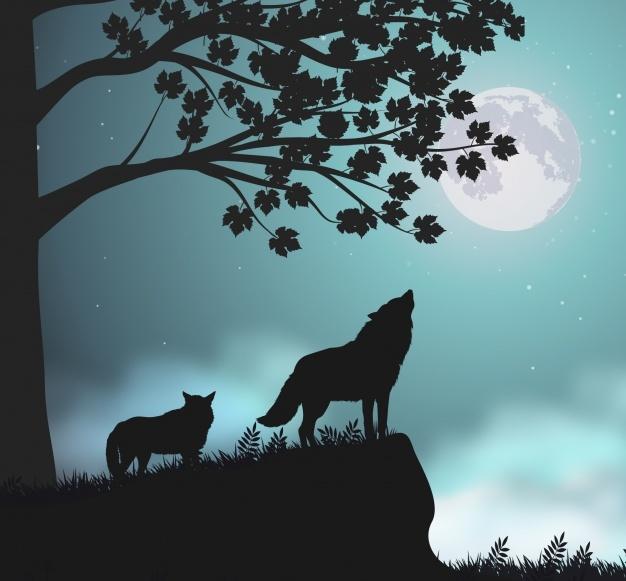 O conto dos lobos, o bem e o mal?