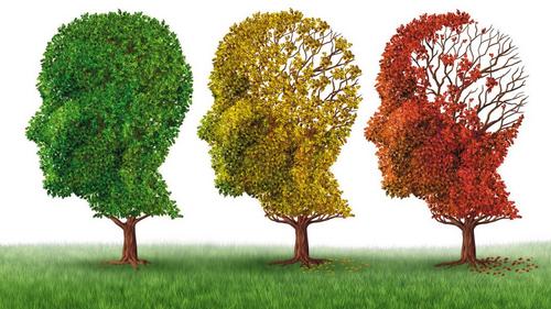Doença de Alzheimer - prevenção para não cair no esquecimento!